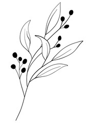 tiny wild flowers and plants line art botanical illustrations. Trendy greenery hand draw lines black ink sketches. vector illustration