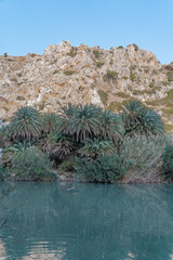 The beach in Crete with a beautiful landscape and oasis. 