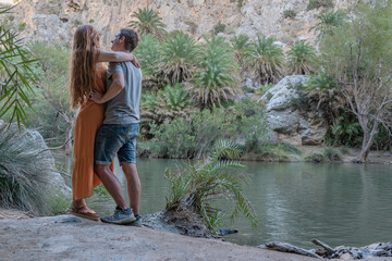 The beach in Crete with a beautiful landscape and oasis. 