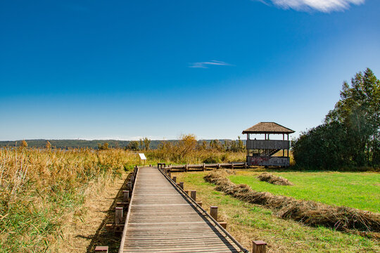 Wooden footpath leading to lake with sailboats under blue sky in Bavaria, Germany
 - Powered by Adobe