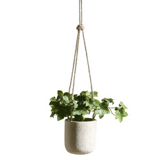 Hanging planter with green ivy plant in textured pot, adding touch of nature to any space. Perfect for home decor and indoor gardening enthusiasts