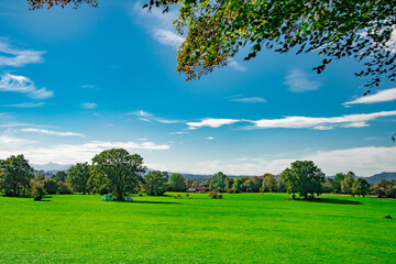 Obraz premium Green Bavarian field under blue summer sky