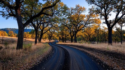Obraz premium Serene Curved Road Through Autumn Forest with Vibrant Leaves and Warm Sunshine Light