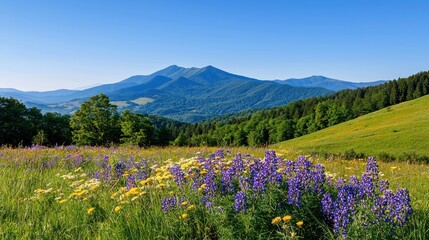 Serene Mountain Landscape with Vibrant Wildflowers Under Clear Blue Sky in Nature Scene