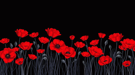 Rembernance Poppies Background