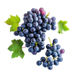 Fototapeta premium fresh purple grapes isolated on white or transparent background