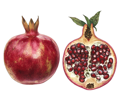 a pomegranate with seeds and leaves.