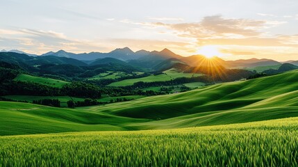 Fototapeta premium Serene Green Landscape at Sunset with Rolling Hills and Majestic Mountains in the Background