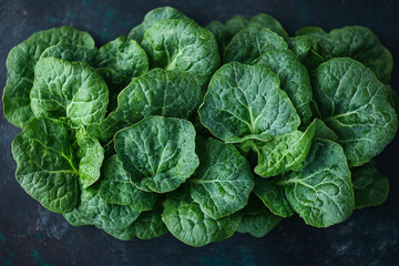 Fototapeta premium Freshly Harvested Green Leaves with Rich Texture and Subtle Color Contrast