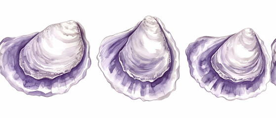Purple oyster shells, ocean border, white background, food design