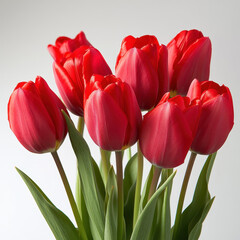 Fototapeta premium close-up of a bouquet of vibrant red tulips with fresh green leaves against a soft, neutral background, delicate petals and rich colors create a beautiful floral composition perfect for spring themes