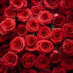 A bunch of red roses are in a bouquet