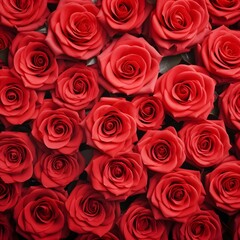 A bunch of red roses are arranged in a pattern