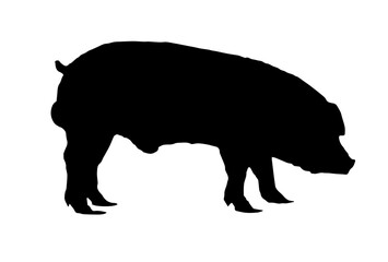 pig forces black on a white background,