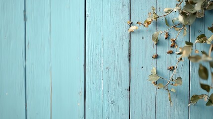 Rustic blue wooden background with dried ivy vines creating a serene, natural atmosphere.