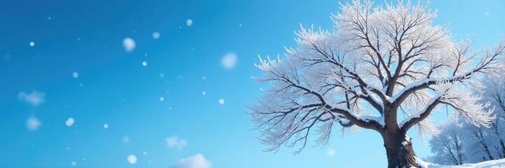 Fototapeta premium Snow-covered tree with bare branches against a bright blue sky, branches, winter landscape