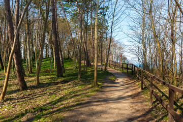 orest Walking Path with Wooden Fence Overlooking the Sea in Jastrzębia Góra