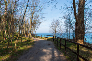Coastal Forest Path with Wooden Fence Overlooking the Sea in Jastrzębia Góra