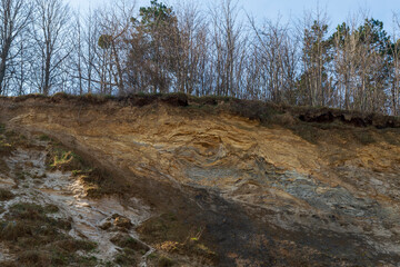 Eroded Sand Cliffs with Forest Above a Sandy Beach in Jastrzębia Góra on a Sunny Day