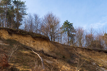 Eroded Sand Cliffs with Forest Above a Sandy Beach in Jastrzębia Góra on a Sunny Day