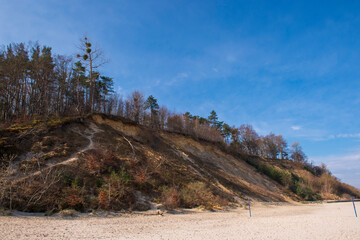 Eroded Sand Cliffs with Forest Above a Sandy Beach in Jastrzębia Góra on a Sunny Day