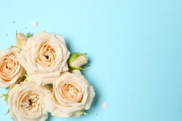 Fototapeta premium Beautiful composition with peony roses on color background