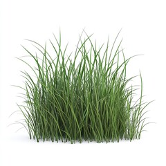 Obraz premium Lush Green Grass Blades Isolated White Background Natural Summer Meadow Plant Foliage 3D Render Detailed Texture Vibrant Spring Greenery Realistic 