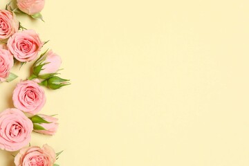 Beautiful composition with pink roses on color background