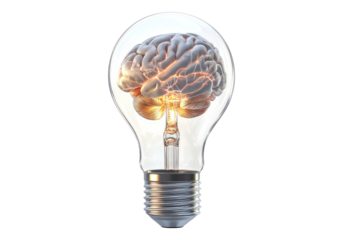 Human brain inside light bulb.