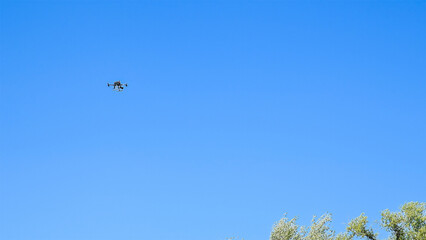 Drone with a camera flies against the background of trees and sky