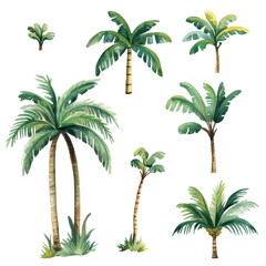 Collection of hand-painted tropical palm trees showcasing various shapes and sizes in a vibrant display
