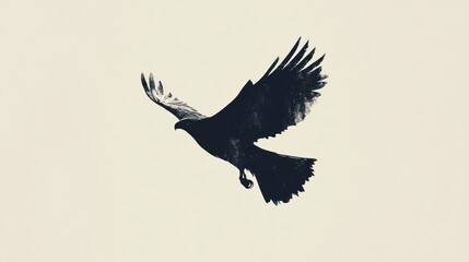 Fototapeta premium Eagle soaring, light background, freedom concept, nature design