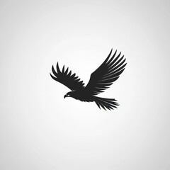 Obraz premium Silhouette of a soaring eagle (1)