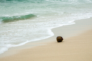 A Coconut on the Beach Sand, Illuminated by the Bright Sunlight with Ocean Waves in the Background.