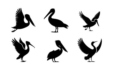 Fototapeta premium Elegant Bird Silhouette Set – Pelicans, Seagulls & Cranes in Dynamic Poses for Logos & Designs