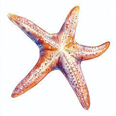 Watercolor Starfish Design Isolated on White Background Perfect for Summer Branding and Coastal Designs