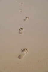 Leaving the footprint of the road
