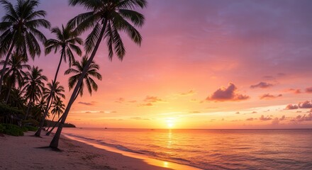 Tropical Beach at Sunset with Palm Trees and Colorful Sky Scenery