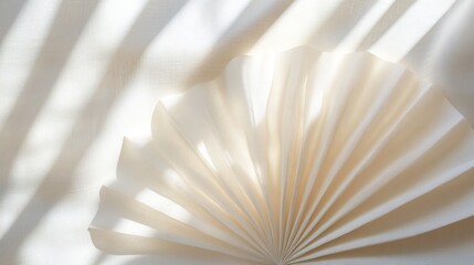 A pleated paper fan rests in sunlight and shadow