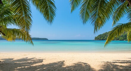 Tropical Beach View with Palm Trees, Clear Water, and Blue Sky