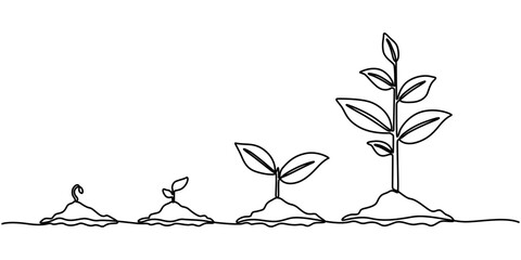 Continuous Line Drawing of Plant Icon. Hand Drawn Symbol Vector Illustration, plant growing icon continuous one line drawing, Continuous one line drawing of step of grow plant. Vector illustration. 