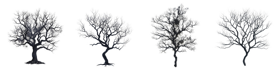 Fototapeta premium Solitary Bare Trees Silhouettes in Dramatic Winter Landscape Moody abstract and atmospheric monochrome scene with twisted skeletal branches against a dark gloomy sky