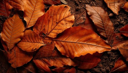 A natural grunge texture of dried leaves and dirt, forming rough, layered patterns.