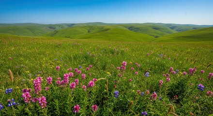 Green Rolling Hills and Wildflower Meadow Landscape on a Sunny Day