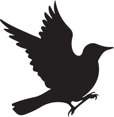 dove on a white background