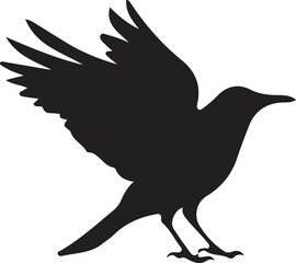 vector illustration of a bird