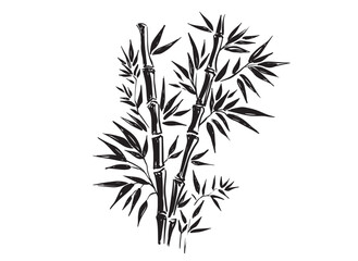 Obraz premium Bamboo tree on white, Hand drawn style. Vector. 
