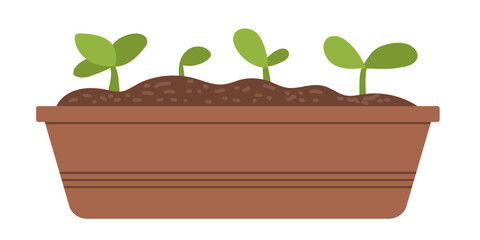 Vector illustration of home plant growing phases. Vector isolated spring garden elements, seedlings. Vector flat style illustration on white background