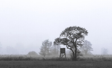 Piękno Jesiennych Pul © Wojciech Lisiński