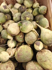coconut at the market